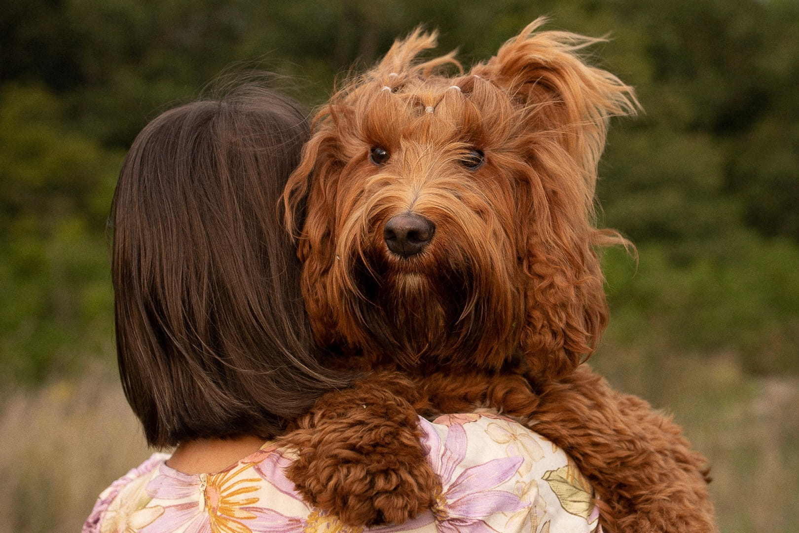 Moje zdjęcie z psem