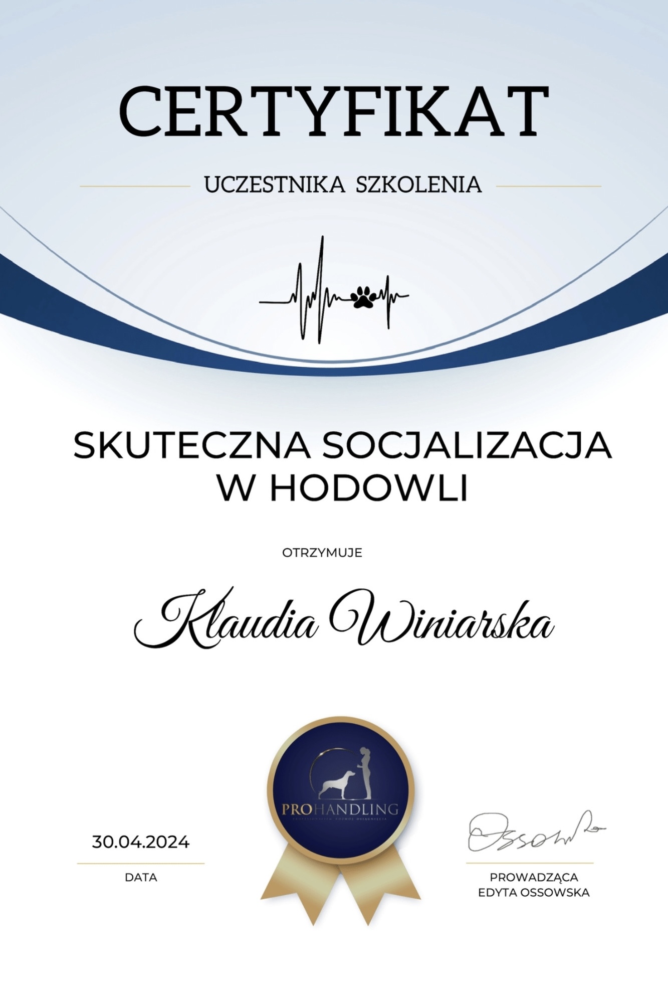 Certyfikat 5
