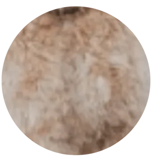 fur_colors